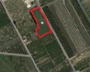 Land for sale in Tavernes de la Valldigna