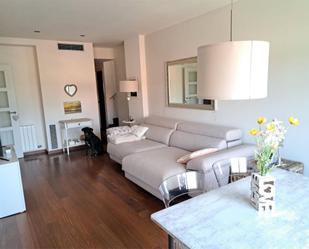 Sala d'estar de Dúplex en venda en Sant Esteve de Palautordera amb Aire condicionat, Terrassa i Balcó