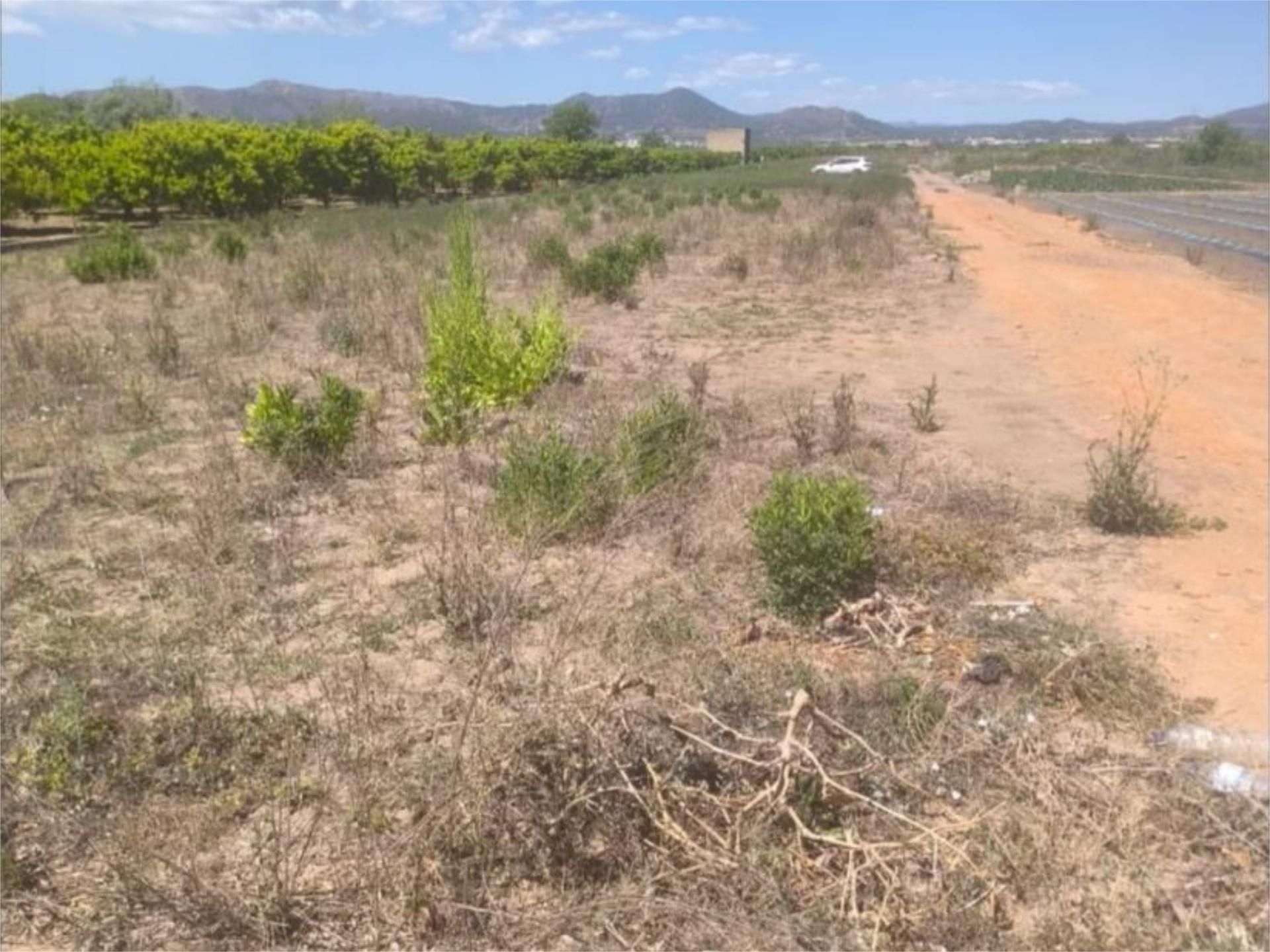 Land for sale in Sagunto / Sagunt