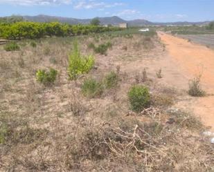Land for sale in Sagunto / Sagunt