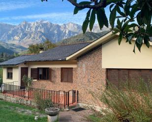 Exterior view of House or chalet for sale in Camaleño