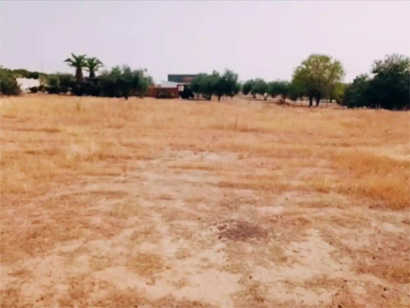 Constructible Land for sale in Novés