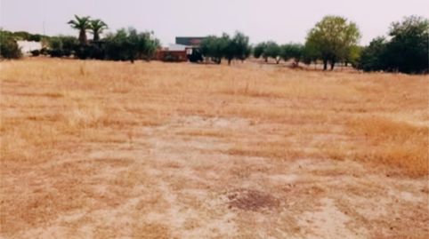 Foto 4 von Bebaubares Gelände zum Verkauf in Avenida de Los Arenazos, 24, Novés, Toledo