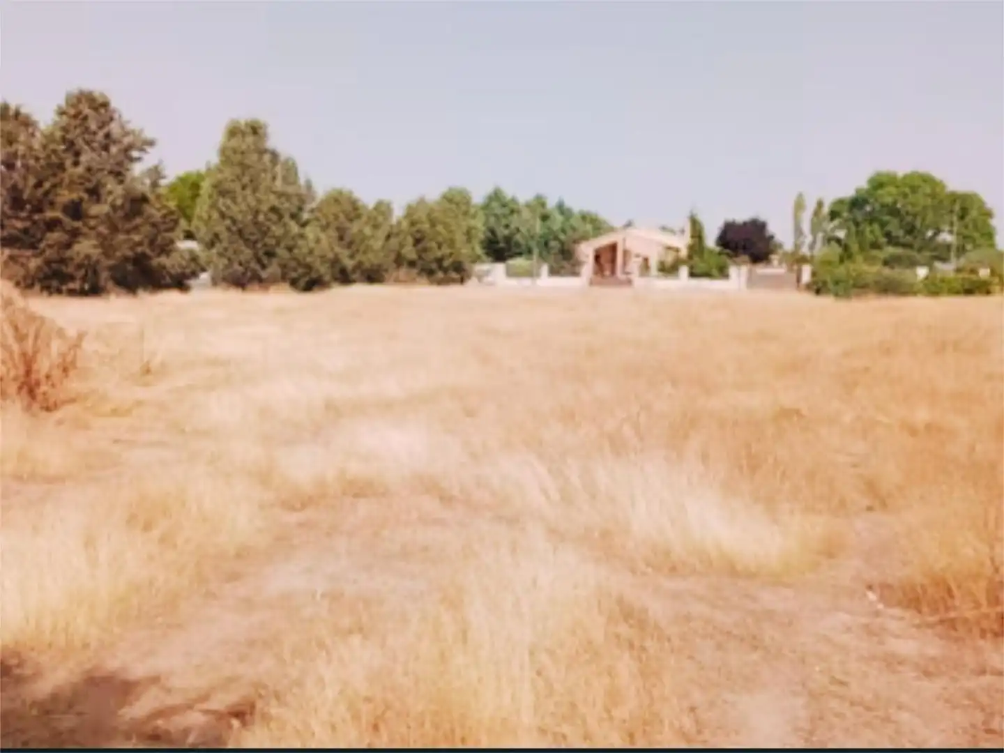 Constructible Land for sale in Novés
