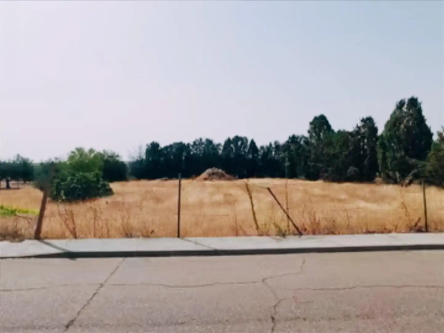 Constructible Land for sale in Novés