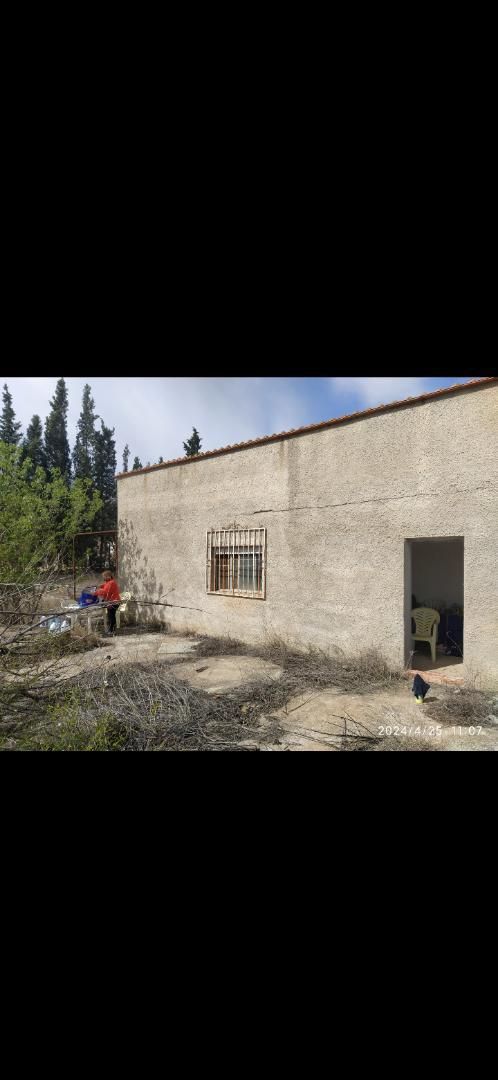 Exterior view of House or chalet for sale in Llíria