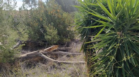 Foto 3 de Casa o chalet en venta en Diseminado P034, 106a, Santa Bárbara, Llíria