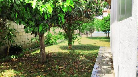 House or chalet for sale in Camino del Aguacate, 36, Las Lagunas - Campano, Cádiz - image 3 Photo 3 of House or chalet for sale in Camino del Aguacate, 36, Las Lagunas - Campano, Cádiz