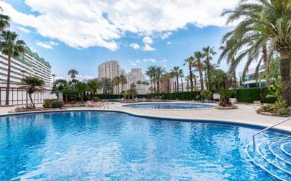 Piso en alquiler en zona levante - playa fossa