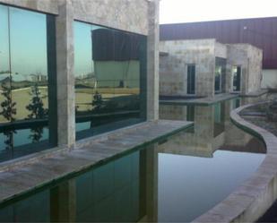 Swimming pool of Industrial buildings for sale in Daimiel