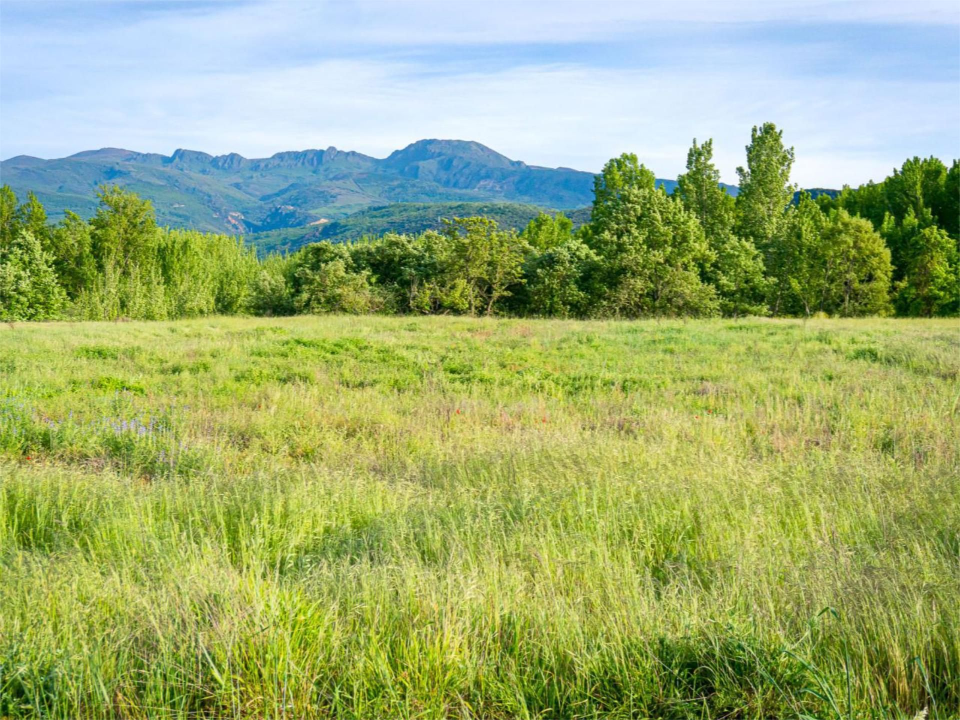 Land for sale in Carracedelo