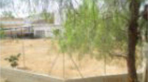 Foto 5 de Urbanizable en venta en Avenida San Carlos de Chile, 77, Baena, Córdoba