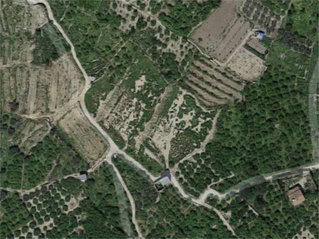 Terreno en Venta en Diseminado Carril Cementerio, 7 en La Raya