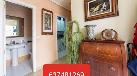 Single-family semi-detached for sale in Calle Ángel de Saavedra, 9, Casco Histórico - Ribera - San Basilio, Córdoba - image 3 Photo 3 of Single-family semi-detached for sale in Calle Ángel de Saavedra, 9, Casco Histórico - Ribera - San Basilio, Córdoba