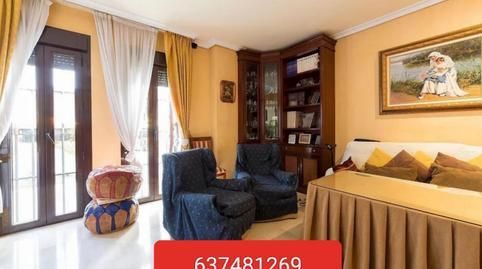 Single-family semi-detached for sale in Calle Ángel de Saavedra, 9, Casco Histórico - Ribera - San Basilio, Córdoba - image 4 Photo 4 of Single-family semi-detached for sale in Calle Ángel de Saavedra, 9, Casco Histórico - Ribera - San Basilio, Córdoba