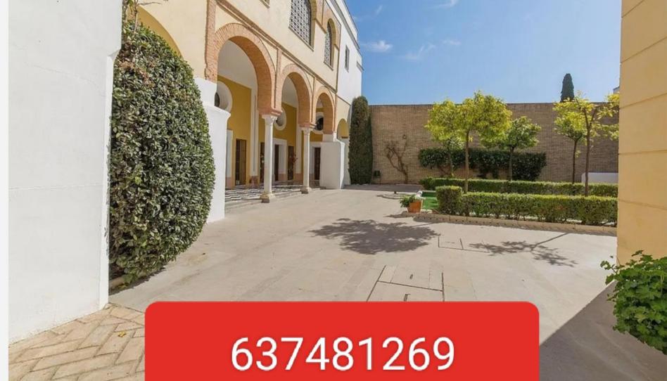 Single-family semi-detached for sale in Calle Ángel de Saavedra, 9, Casco Histórico - Ribera - San Basilio, Córdoba - image 1 Photo 1 of Single-family semi-detached for sale in Calle Ángel de Saavedra, 9, Casco Histórico - Ribera - San Basilio, Córdoba