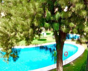 Swimming pool of Duplex for sale in Bormujos  with Air Conditioner, Terrace and Swimming Pool