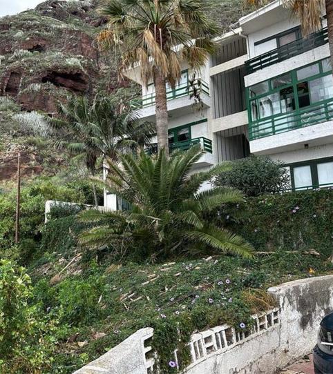 Terreno en venta en Calle Los Cactus, 34, Bajamar, Santa Cruz de Tenerife - imagen 2 Foto 2 de Terreno en venta en Calle Los Cactus, 34, Bajamar, Santa Cruz de Tenerife