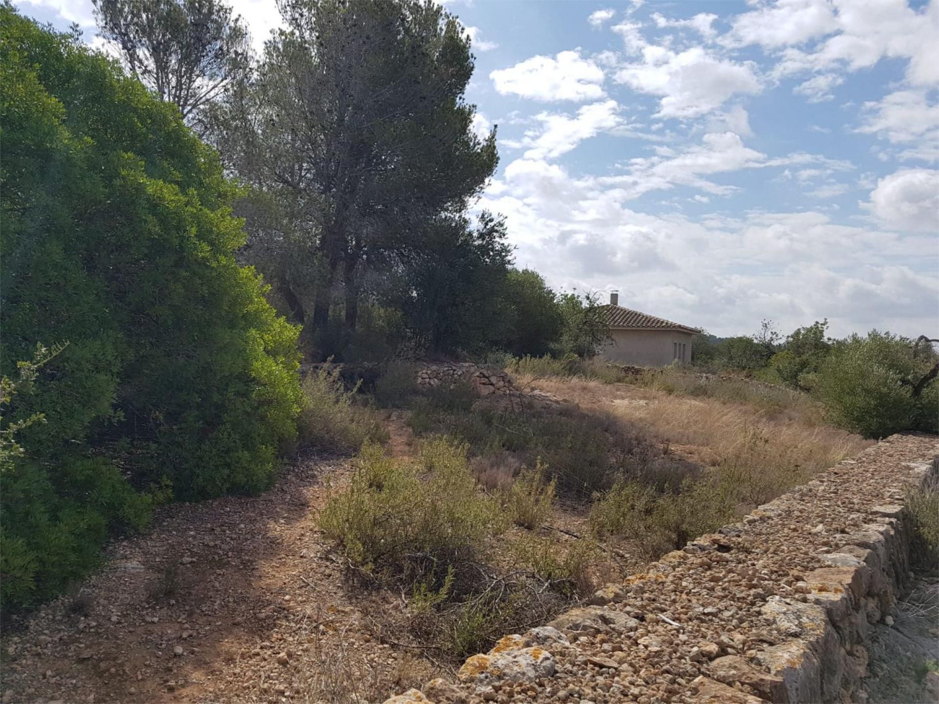 Land for sale in Tortosa
