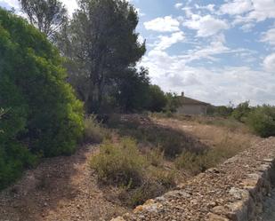 Land for sale in Tortosa