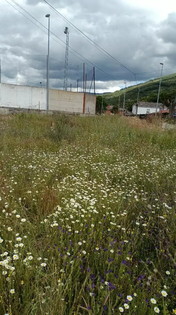 Finca rústica en venta en Paraje Vadillo, 3, Cabezuela del Valle Finca rústica en venta en Cabezuela del Valle