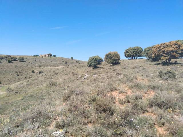 Terreno en Venta en Calle Alta, 19 en Medinaceli