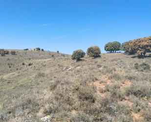 Land for sale in Medinaceli