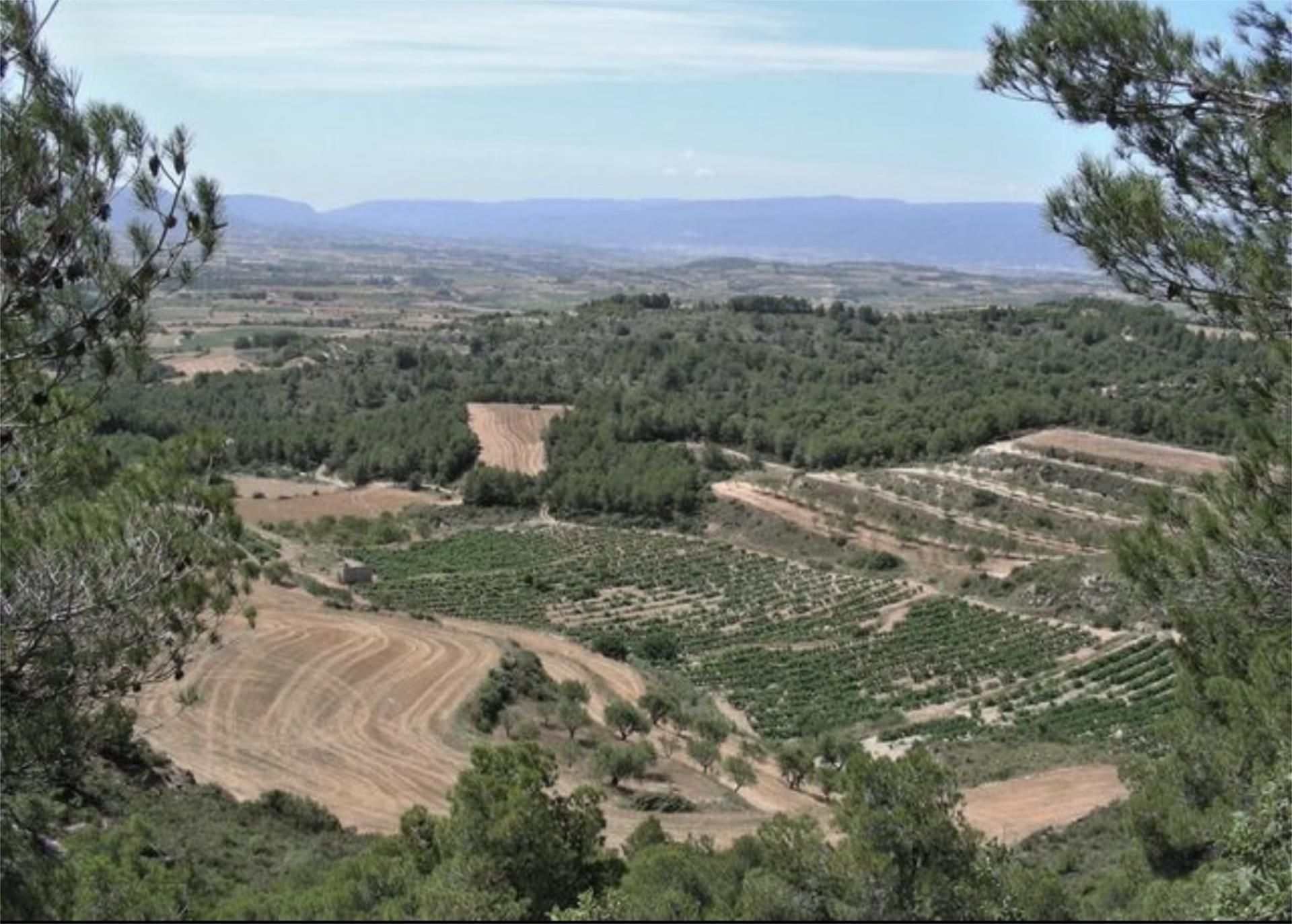 Non-constructible Land for sale in Pira