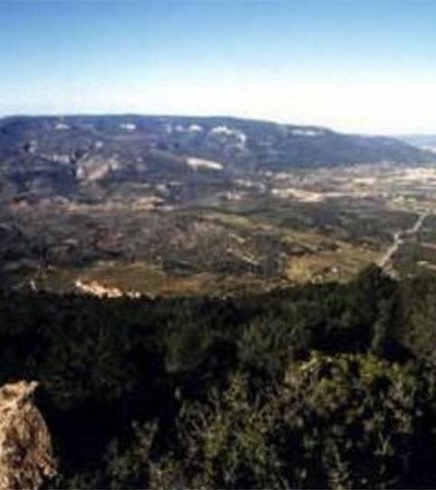 Photo 2 of Non-constructible Land for sale in Pira, Tarragona