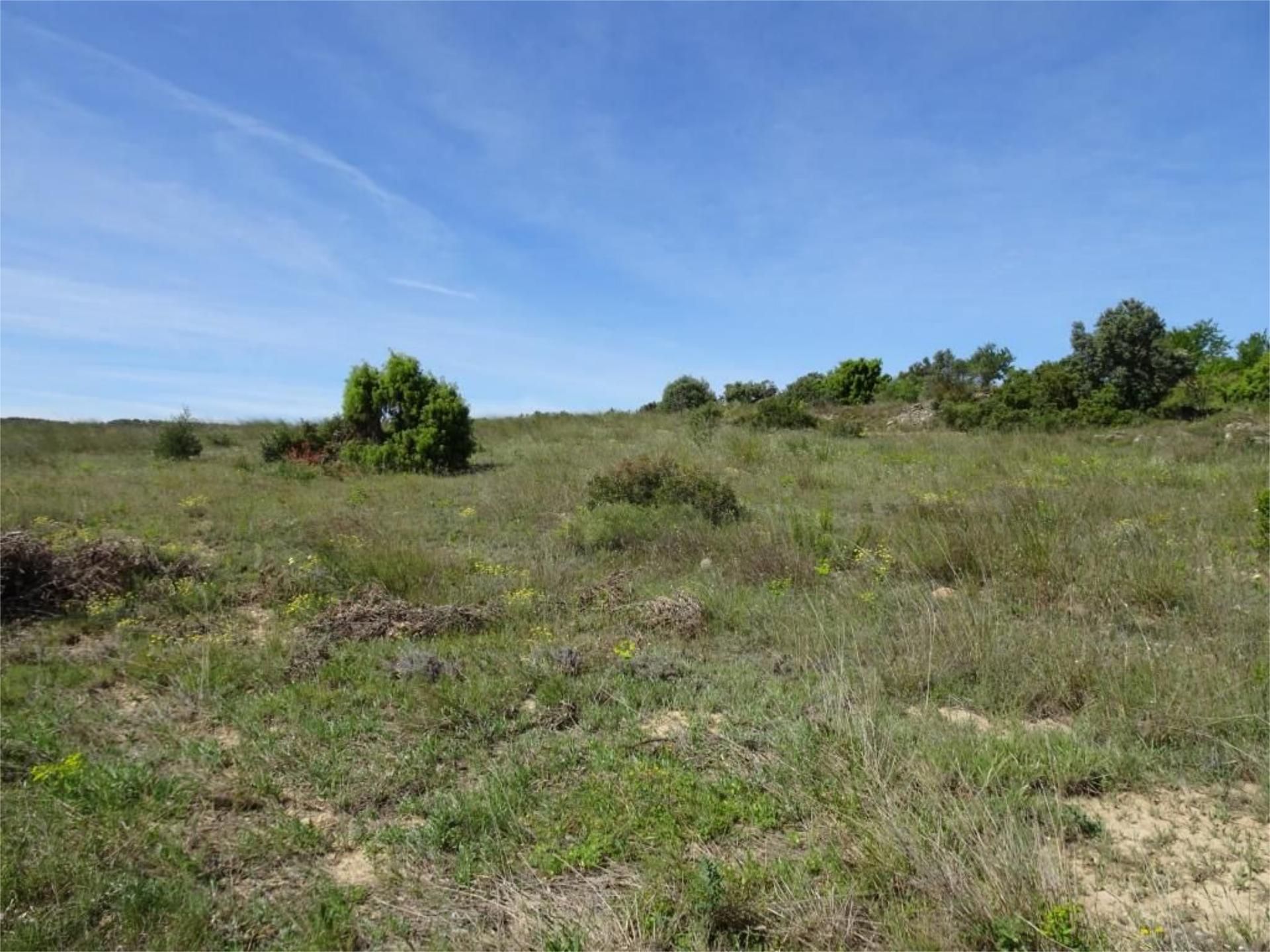 Land for sale in Batea