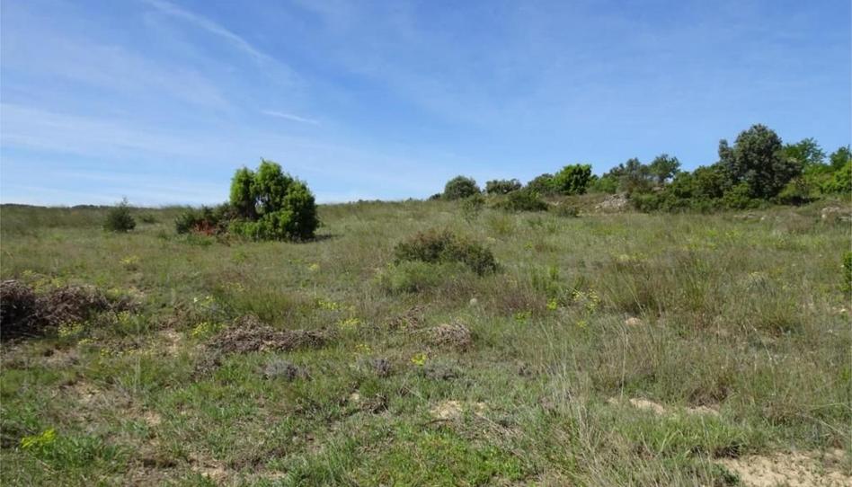 Land for sale in Carretera de Maella, S/n, Batea, Tarragona - image 1 Photo 1 of Land for sale in Carretera de Maella, S/n, Batea, Tarragona