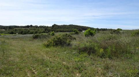 Land for sale in Carretera de Maella, S/n, Batea, Tarragona - image 3 Photo 3 of Land for sale in Carretera de Maella, S/n, Batea, Tarragona