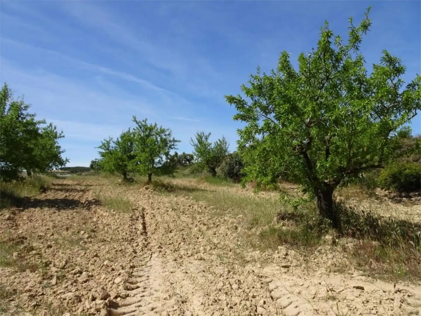 Grundstücke zum Verkauf in Carretera de Maella, Batea Grundstücke zum Verkauf in Batea