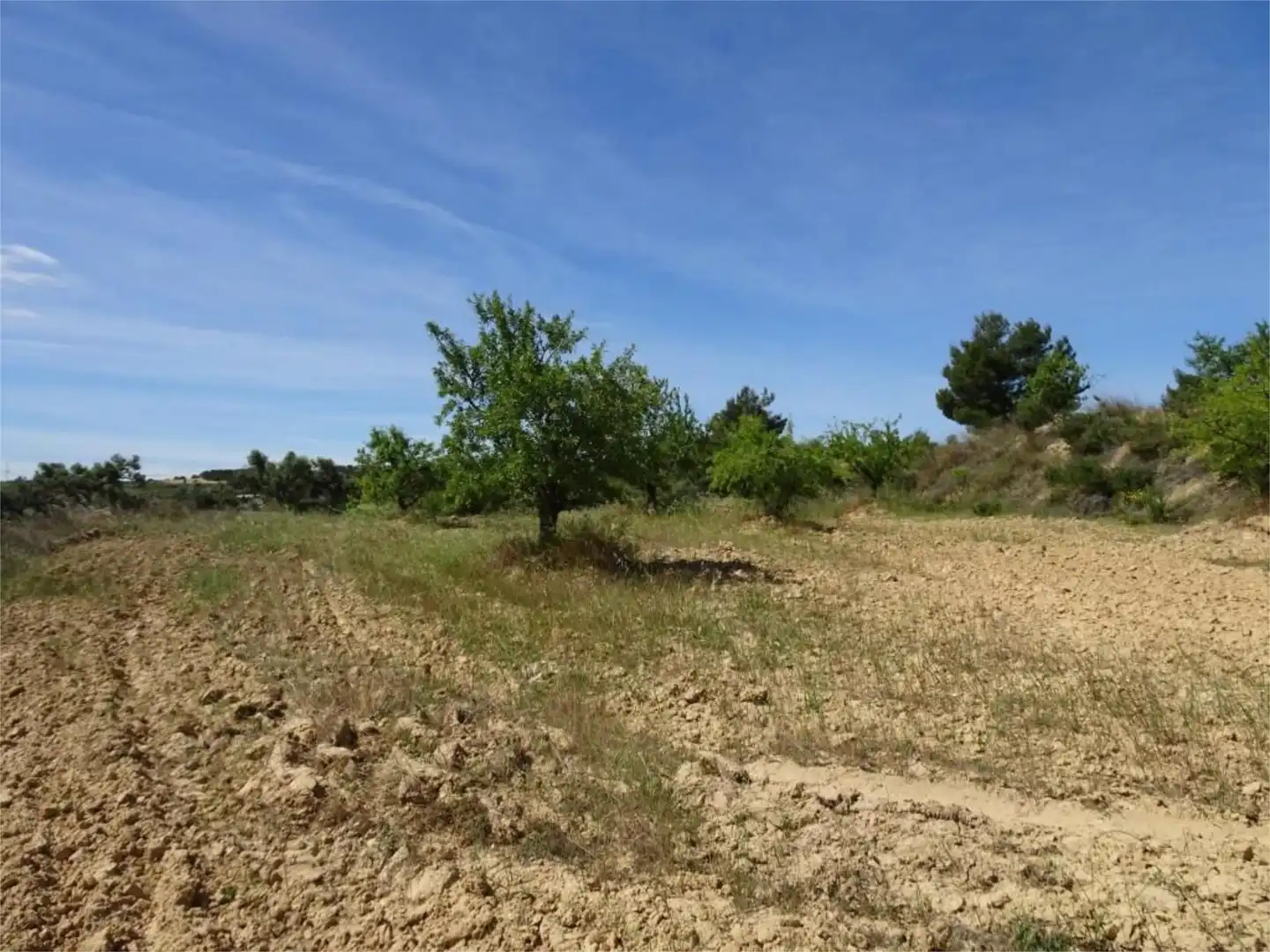 Grundstücke zum Verkauf in Carretera de Maella, Batea Grundstücke zum Verkauf in Batea