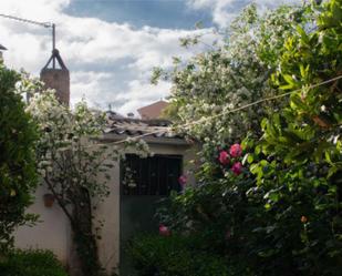 Garden of Single-family semi-detached for sale in Dílar