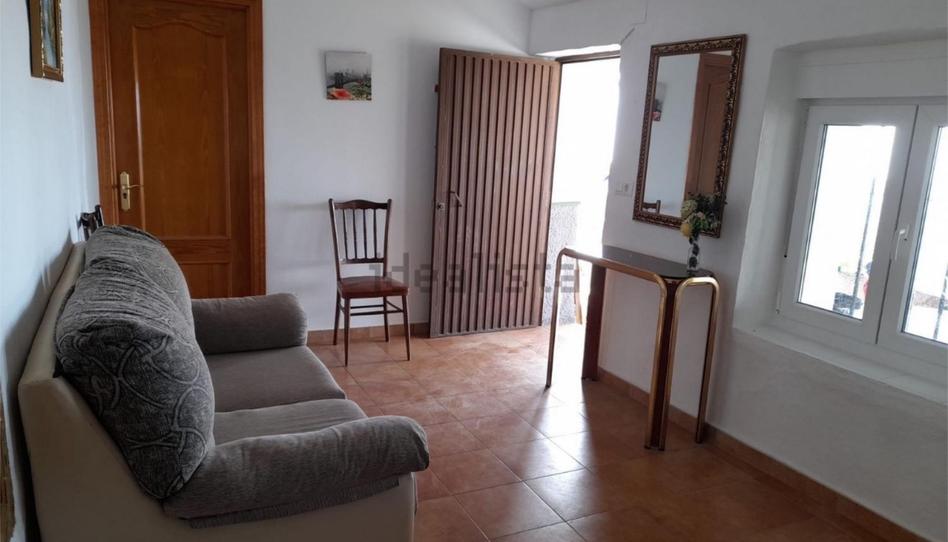 Finca rústica en venda a Sayalonga, Málaga - imatge 1 Foto 1 de Finca rústica en venda a Sayalonga, Málaga