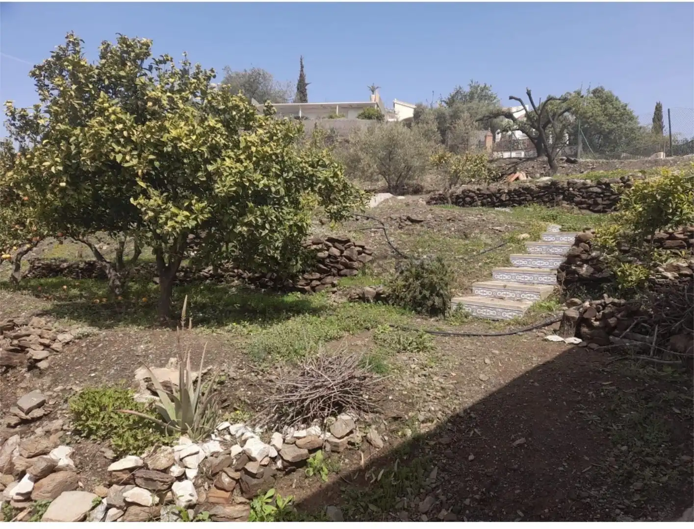 Finca rústica en venda a Sayalonga Jardí de Finca rústica en venda en Sayalonga amb Aire condicionat i Terrassa
