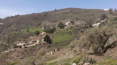 Finca rústica en venda a Sayalonga, Málaga - imatge 2 Foto 2 de Finca rústica en venda a Sayalonga, Málaga