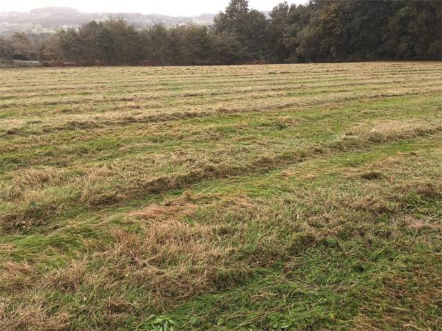 Terreno en Venta en Rúa Concepción Arenal, 15 en Láncara