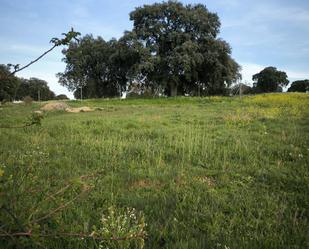 Terreny en venda en Terradillos