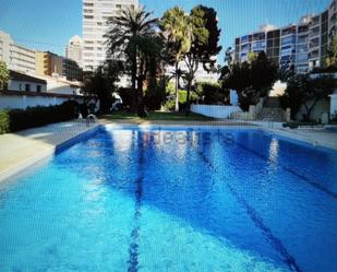 Swimming pool of Apartment to rent in Benidorm  with Air Conditioner and Swimming Pool