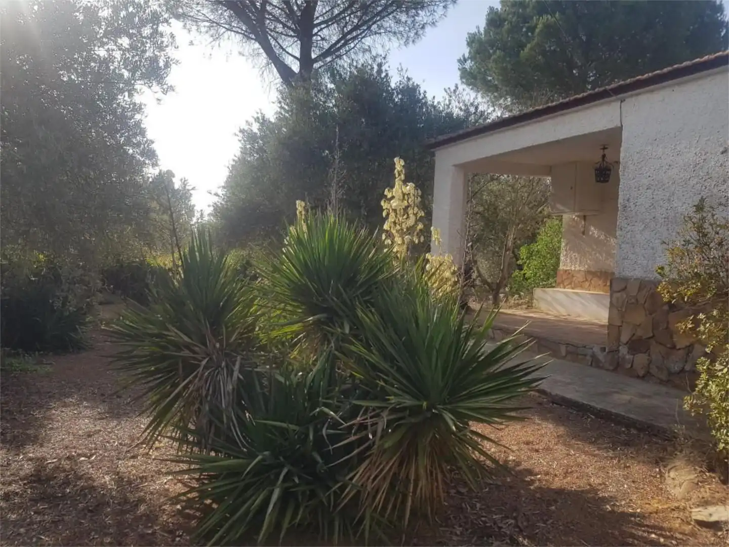 Casa o chalet en venta en Calle Altillo, 1, Porzuna Jardín de Casa o chalet en venta en Porzuna con Jardín privado, Terraza y Amueblado