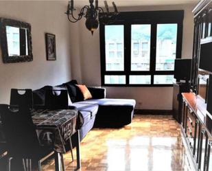 Living room of Flat to rent in Mieres (Asturias)