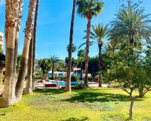 Garden of Flat for sale in Almuñécar  with Swimming Pool