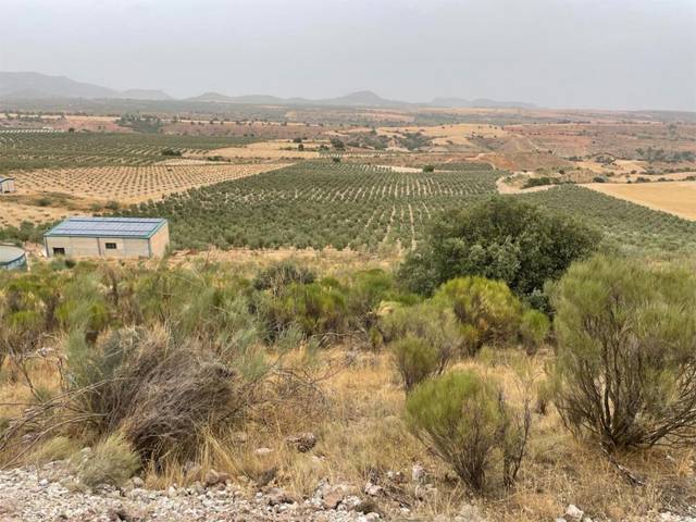 Terreno en Venta en Calle Federico Garcia Lorca, 37 en Montejícar