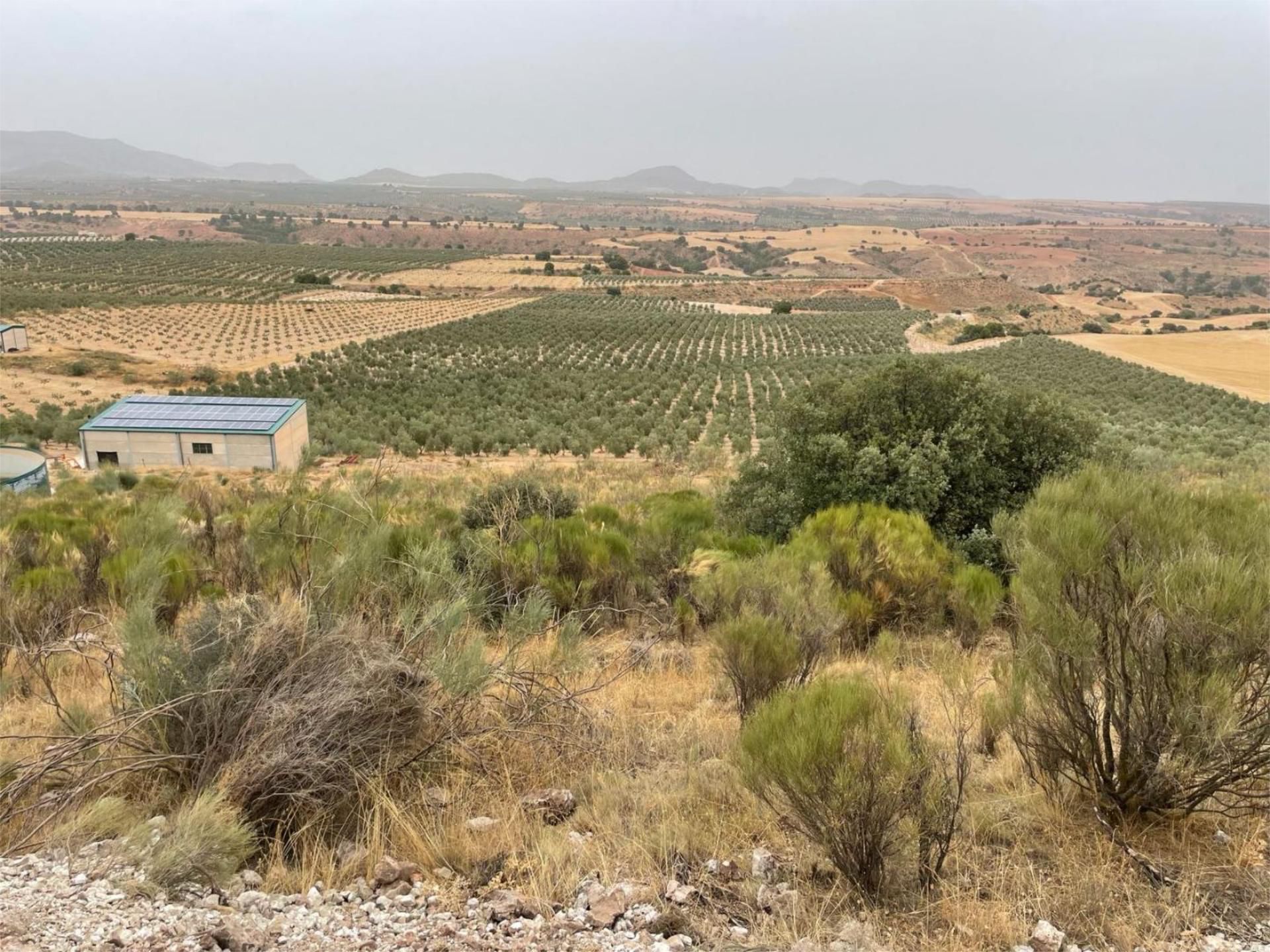 Terreno en venta en Calle Federico Garcia Lorca, 37, Montejícar Terreno en venta en Montejícar