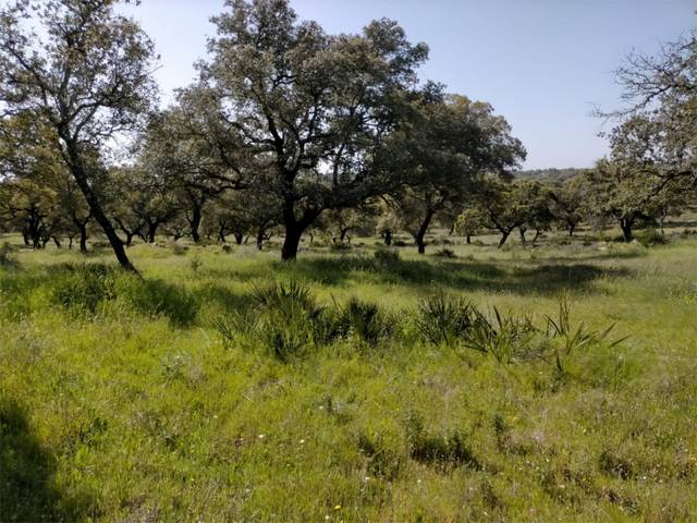 Terreno en Venta en Calle Puebla de Cazalla, 60 en Palmete