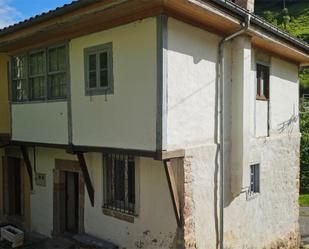 Exterior view of Single-family semi-detached for sale in Somiedo