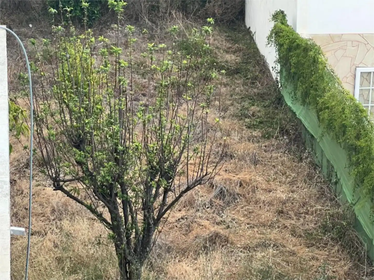 Land for sale in San Cristóbal de la Laguna