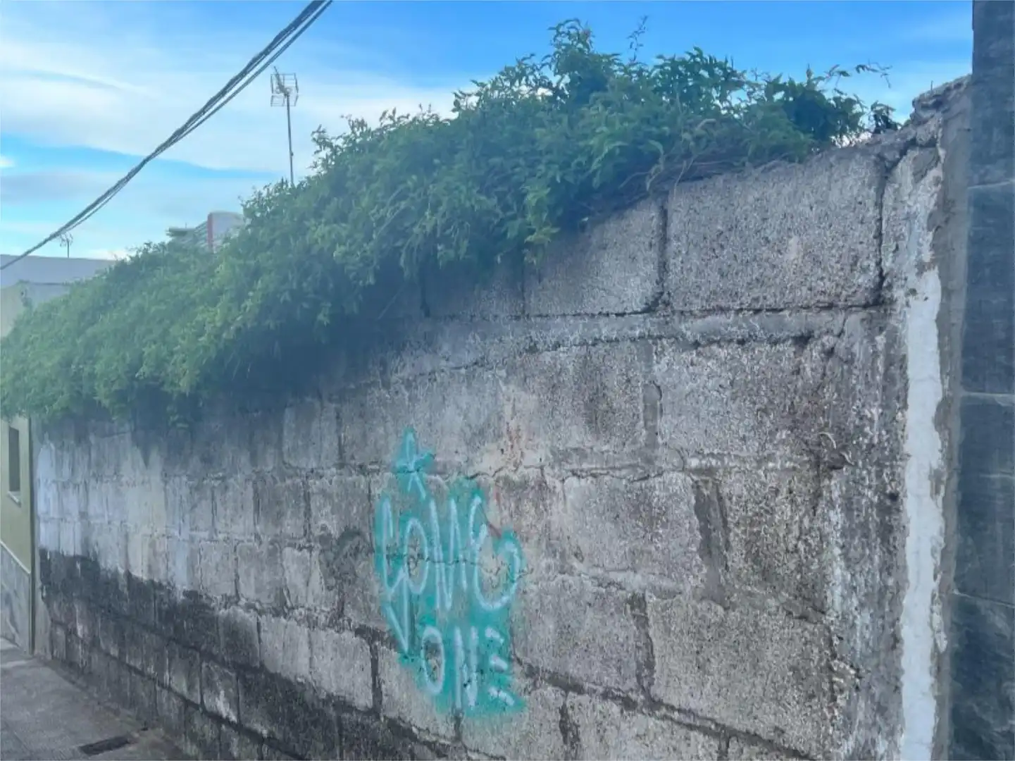 Exterior view of Land for sale in San Cristóbal de la Laguna